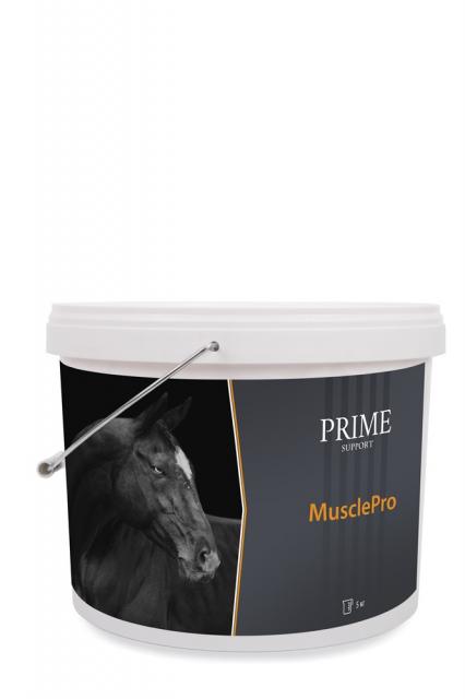 MusclePro — профилактика мышечного перенапряжения и усталости